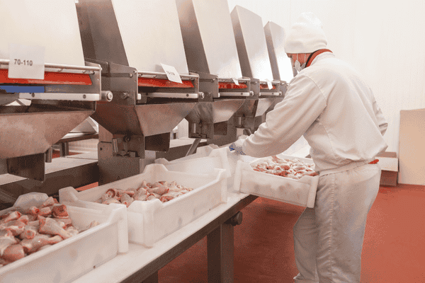 Workers’ Compensation for Agriculture and Meat Processing Workers in Colorado