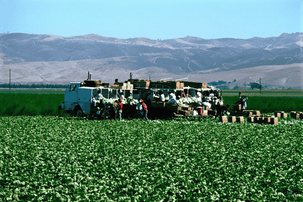 Workers’ Compensation for Immigrant and Undocumented Workers in Colorado Workers’ Compensation for Immigrant and Undocumented Workers in Colorado